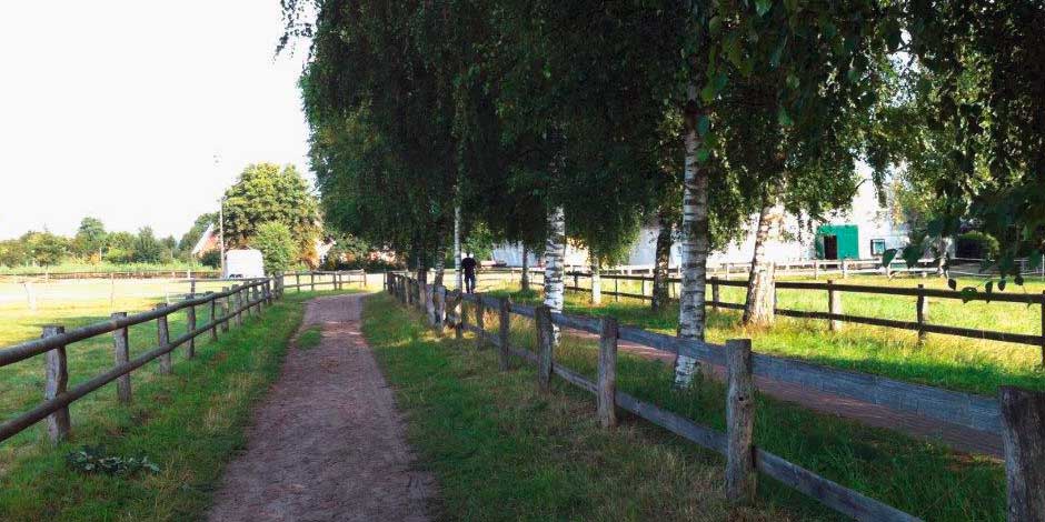 Unser Reitstall im schönen Lilienthal